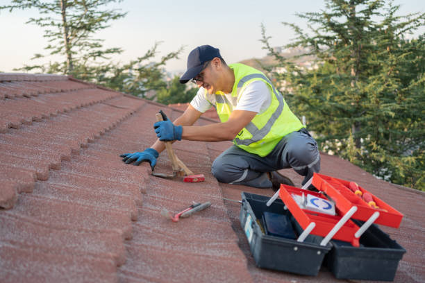 Best Roof Leak Repair  in Lake Sherwood, CA